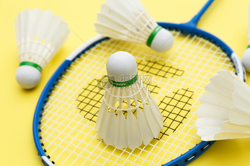 结合双方的 结合双方的