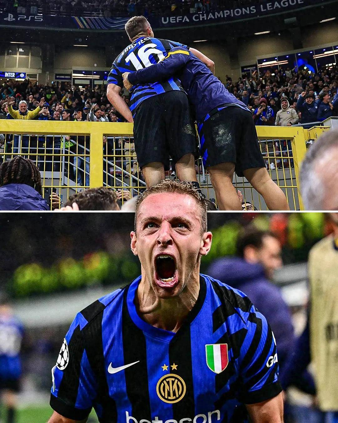 按年份排比 按年份排比